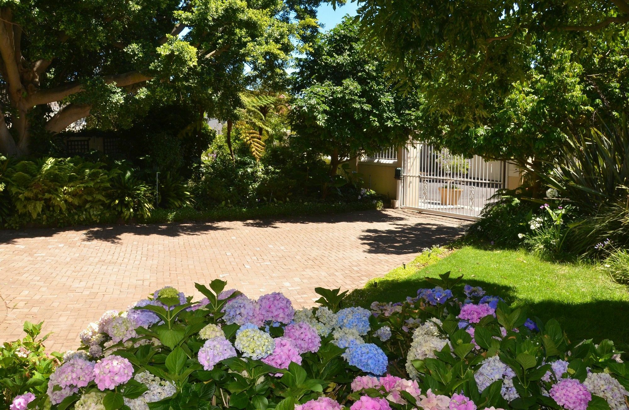 Medindi Manor Hotel Кейптаун Екстериор снимка